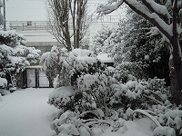 画像: 大雪